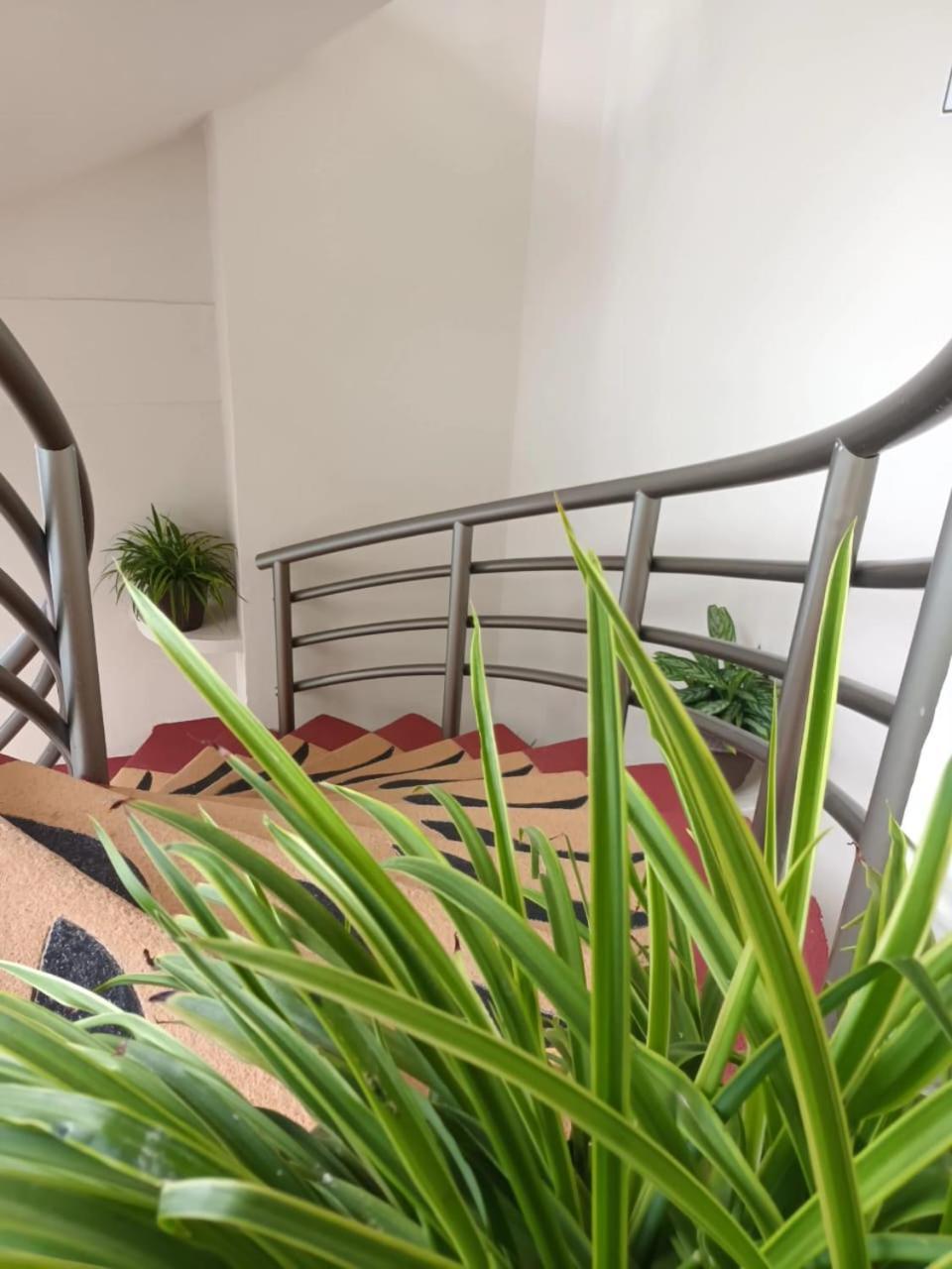 Marysol Las Palmas Rincon de Guayabitos Zewnętrze zdjęcie