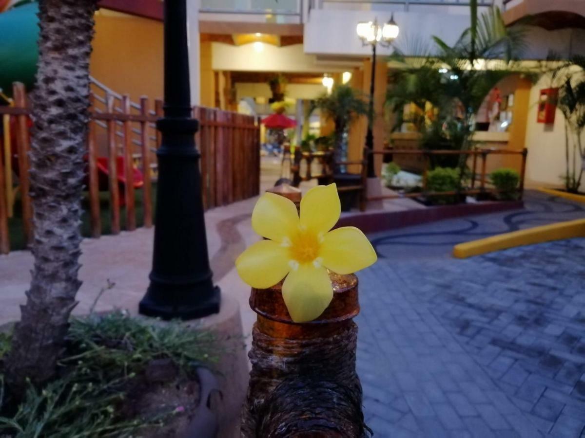 Marysol Las Palmas Rincon de Guayabitos Zewnętrze zdjęcie